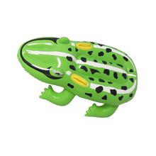 Inflatable Frog Float