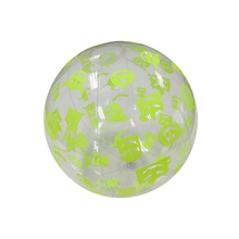 Inflatable Hallowen Ball (BR-2905)