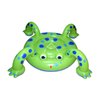 Inflatable Frog Air Mattress
