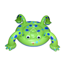 Inflatable Frog Air Mattress